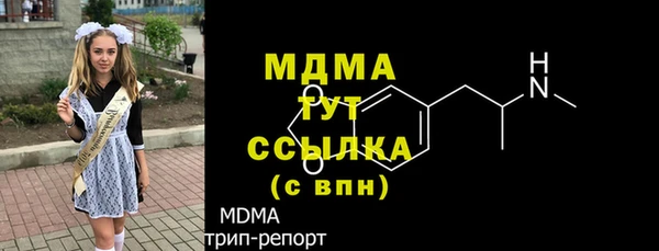 мдпв Богородск