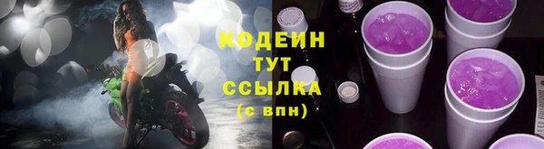 мдпв Богородск