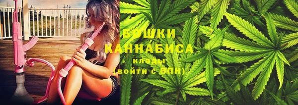 мдпв Богородск