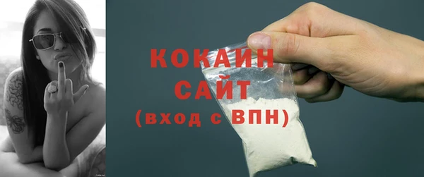 мдпв Богородск