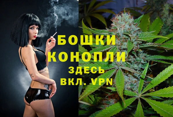 мдпв Богородск