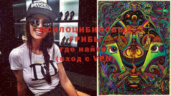 прущие крисы Богданович