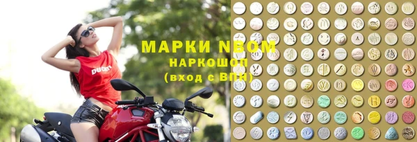 мдпв Богородск