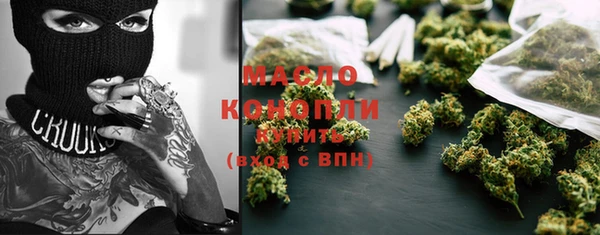 мдпв Богородск
