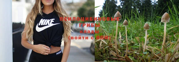 кокаин Богородицк