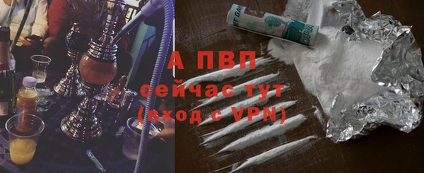 мдпв Богородск