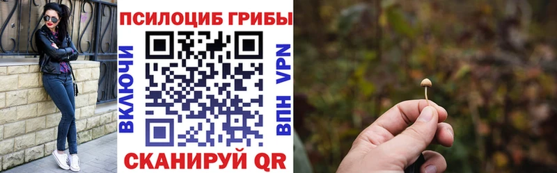 Псилоцибиновые грибы Psilocybine cubensis  Энгельс 
